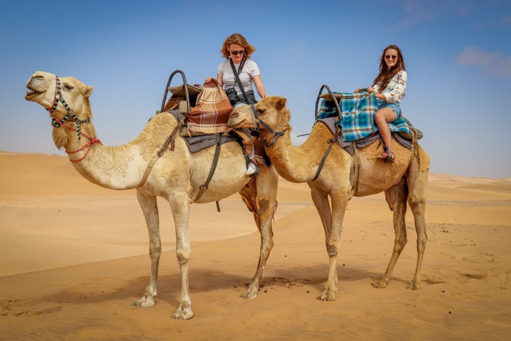 experience India like a local